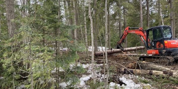 Double Diamond Tree Care